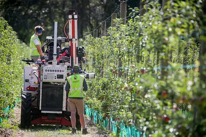 Apple-robot-harvester