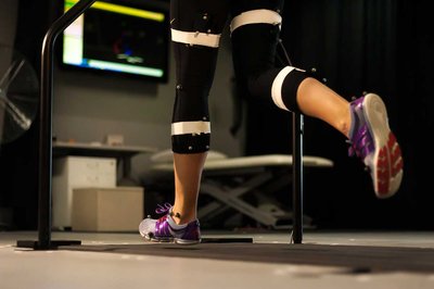 Massey projects funded to unlock curious minds  - image2