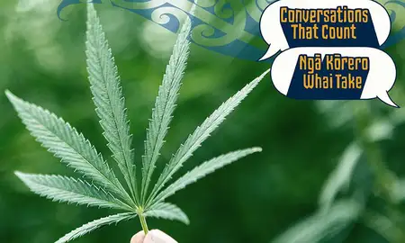 Taking a deeper look at the cannabis question  - image1