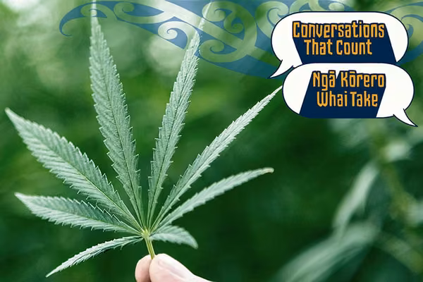 Taking a deeper look at the cannabis question  - image1