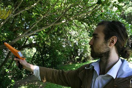 Changing the way kiwifruit is harvested - image1