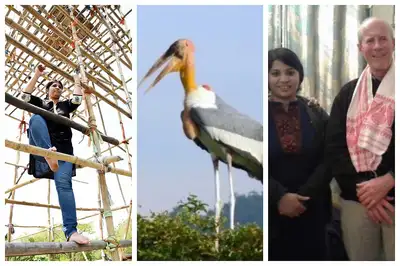 Massey scientist aids India’s stork conservation - image3