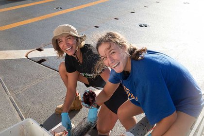 Massey out on the oceans on Seaweek - image1