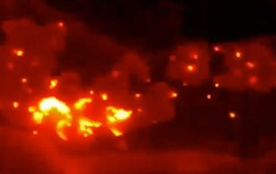 Cameras light up bats in the dark - image2