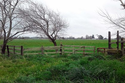 Māori perspective on housing plan recognised - image1