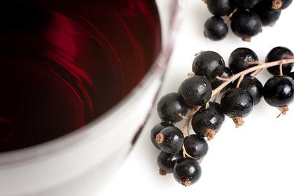 Blackcurrant-study