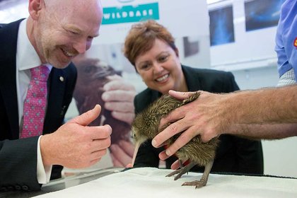 New building houses unique wildlife hospital  - image1