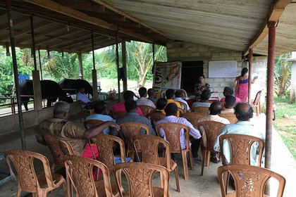 Strengthening Sri Lankan veterinary education - image1