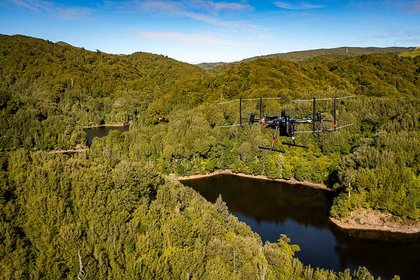 Bird's-eye view: new drone technology helps track relocated birds  - image1