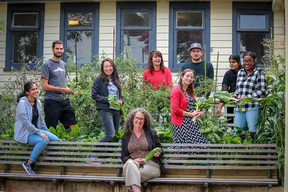 Green-fingered PhD students get satisfaction from shared garden - image1