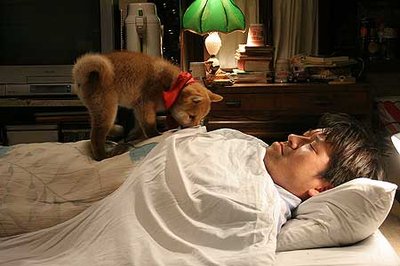 A touching story of a man and a puppy - image2