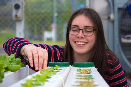 Plants, the New Zealand wars and international dancing - image1