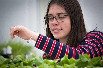 Plants, the New Zealand wars and international dancing - image2