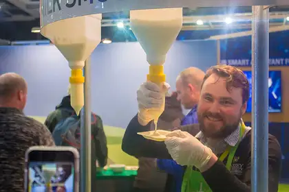 Serving up a sheep milk smoothie - image1
