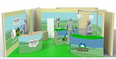 Serving up a sheep milk smoothie - image2