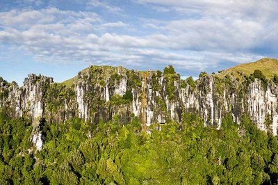 New film rethinks how land use is classified in NZ - image2
