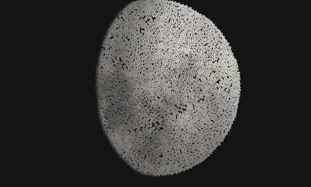 Angela Kilford. Tangaroa ā mua, 2019. 100 X 70cm, digital media