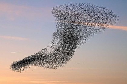 The science of complexity - image1