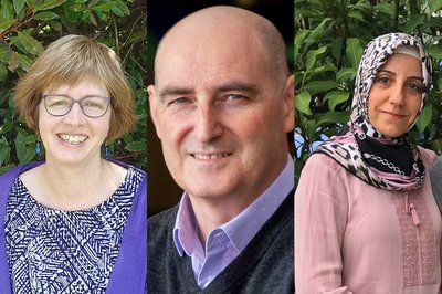 mansveltodonoghueballi