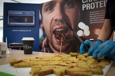 AI farm assistant and plant proteins on show at field days - image3