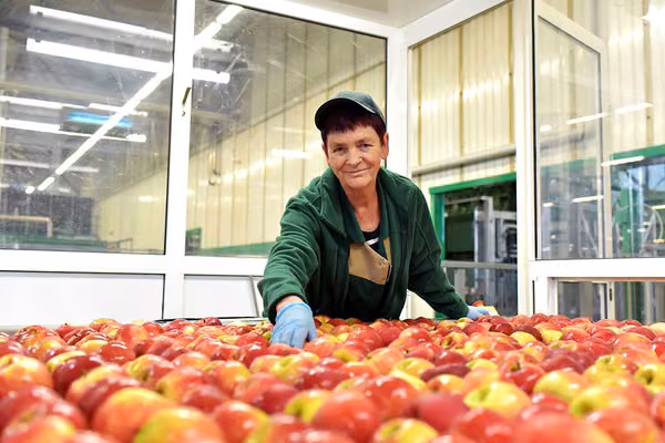 Massey’s food innovation legacy celebrated in ‘NZ Food Heroes’  - image1