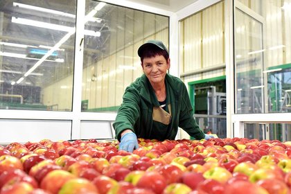 Massey’s food innovation legacy celebrated in ‘NZ Food Heroes’  - image1