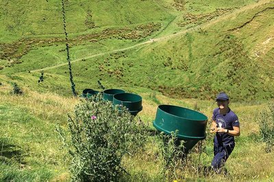 From ‘townie’ to doctorate in agritech - image2