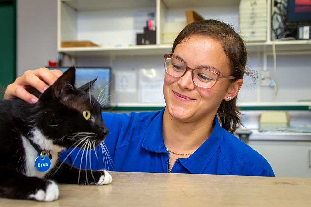 PHD student brings culinary delight to the pet food industry