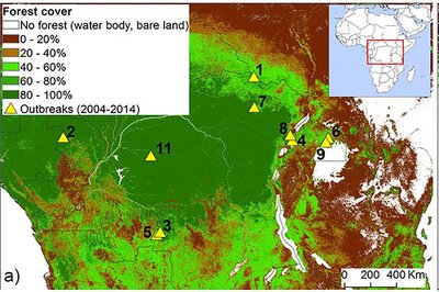 Ebola linked to habitat destruction - image2