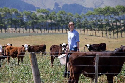 New beef product could spark new industry - image1