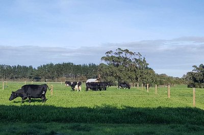 Massey key partner in programme supporting sustainable farming - image2