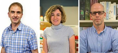 Professorial promotions announced - image2