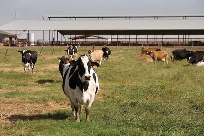 Supporting farming families during times of stress - image1