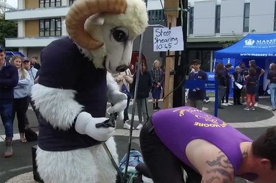 The secret life of an animal science student - image3