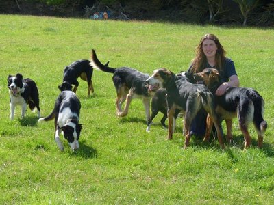 The secret life of an animal science student - image2