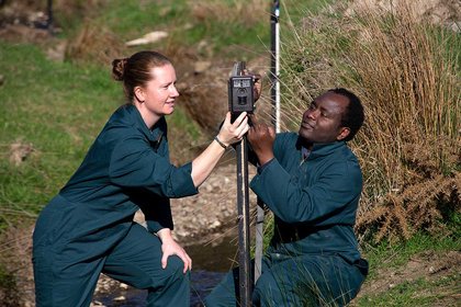 Are sheep hanging around waterways? - image1