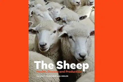 Massey University Press publishes a guide to diseases in sheep - image1