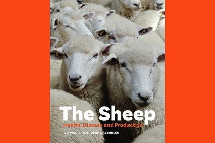 Massey University Press publishes a guide to diseases in sheep - image1