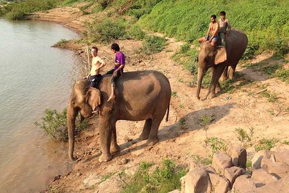 Massey Alumnus takes vet skills from Te Awamutu to the world - image1