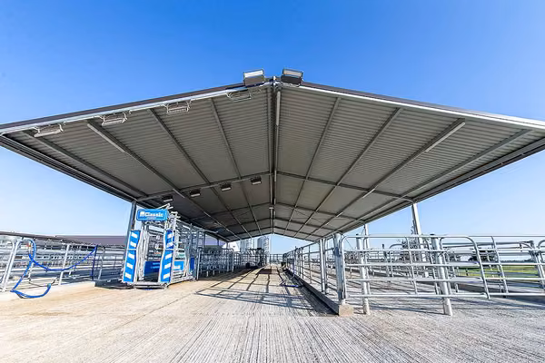 Animal handling facility at Dairy 4 Farm