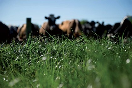 Tips for preventing spread of disease on farm - image1