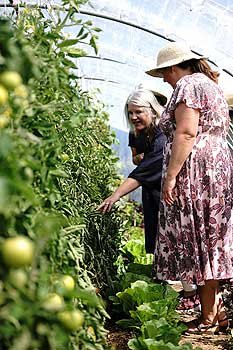 Research focus on Taranaki’s sustainable food producers  - image2