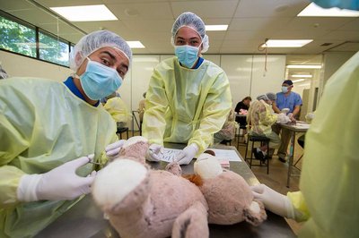 Māori science academy surpasses national pass rates - image2