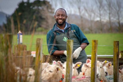 ‘Wormy lambs’ video takes out national award - image1