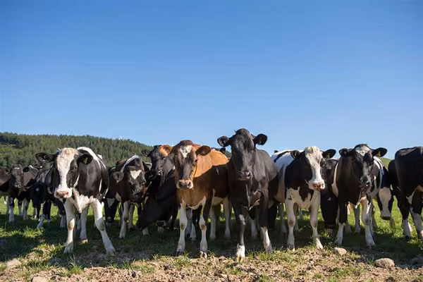New short courses created to fill demand for agriculture experts - image1