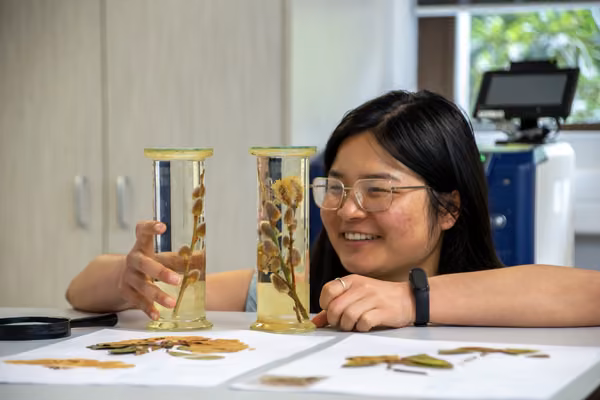 Student looking at stored plants