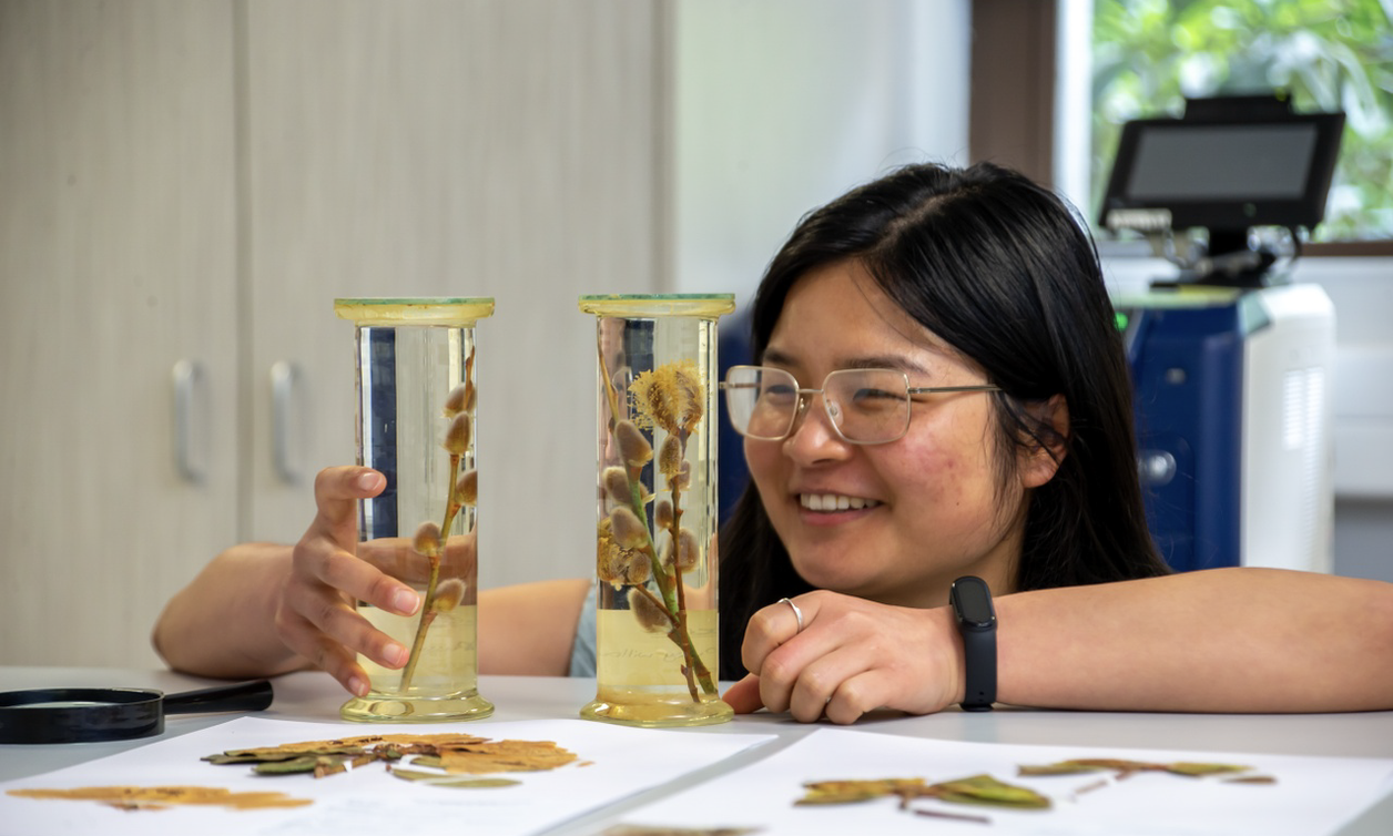 Student looking at stored plants