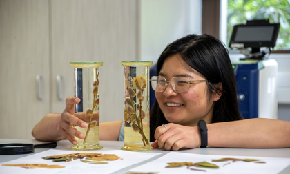 Student looking at stored plants