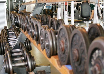 Close-up of two rows of free weights in the gym