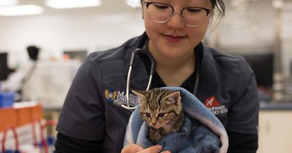 Photo of a vet student holding a kitten wrapped in a towel